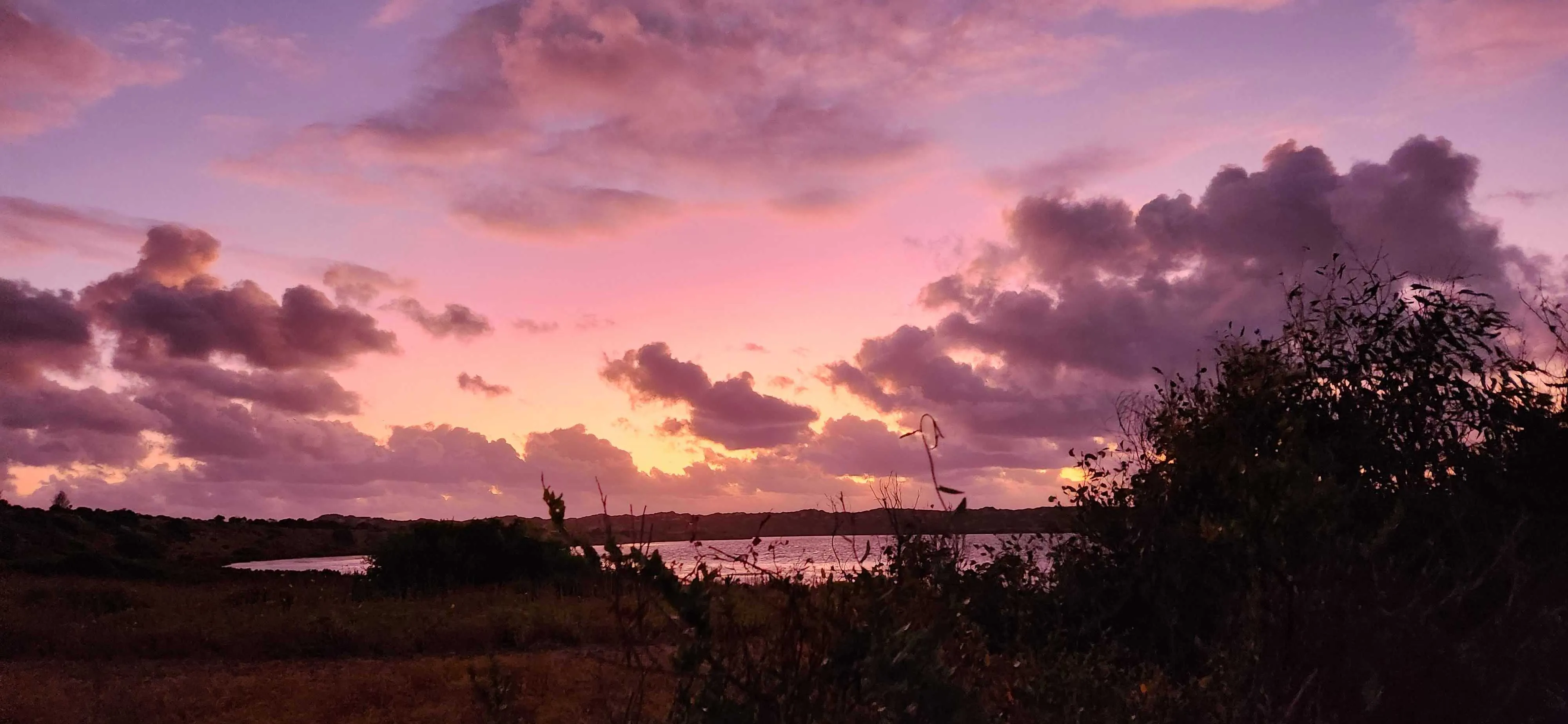 i may complain about south australia a lot, but it's actually a pretty nice place.