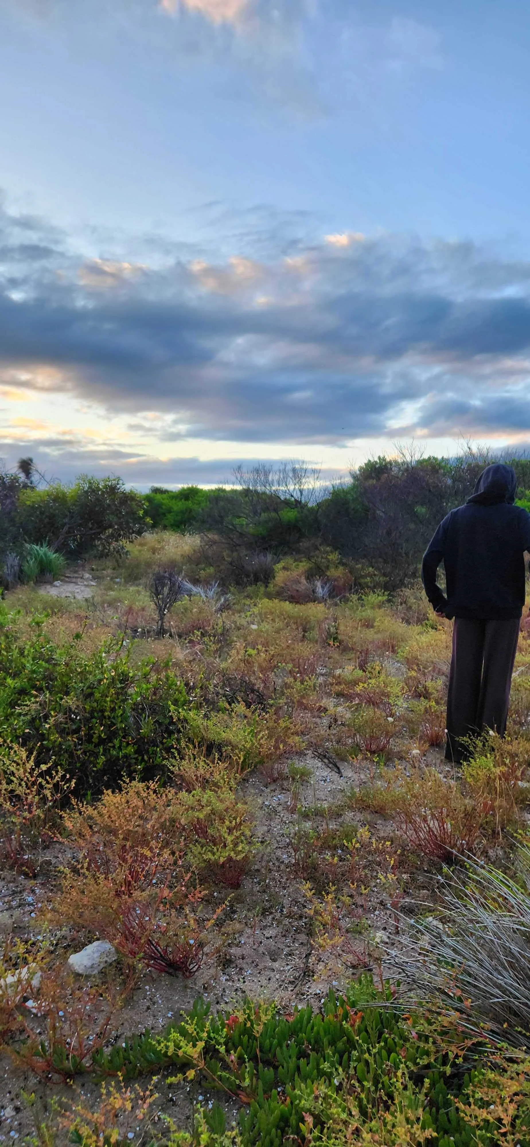 The Coorong, by day.