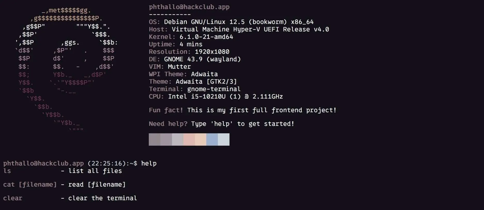 Frontend for my personal Linux terminal-style website! (complete with Hyfetch) 